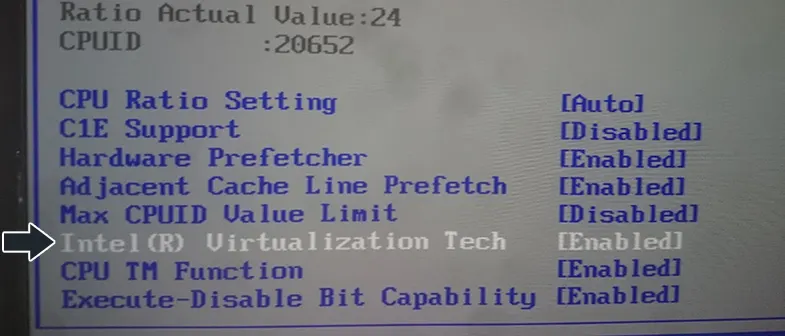 Intel Virtualization Вклюить виртуализацию Интел